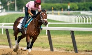 Belmont Stakes entrant Rombauer takes a training run on the main track