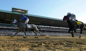 Jockey Luis Saez reacts after crossing the finish line ahead of Hot Rod Charlie (4)