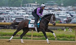 Bourbonic trains ahead of the 153rd running of the Belmont Stakes horse race