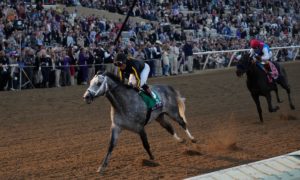 West Virginia Horse Racing Turns Focus To Pegasus World Cup