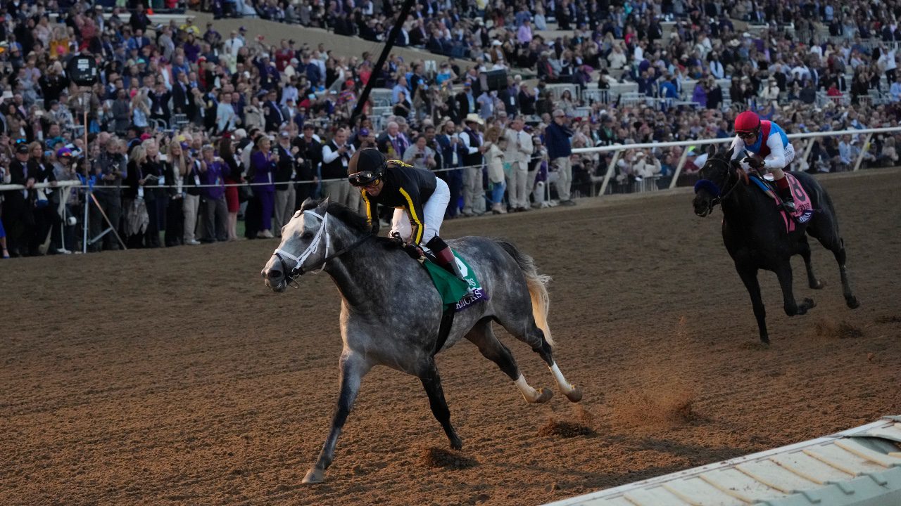 West Virginia Horse Racing Turns Focus To Pegasus World Cup