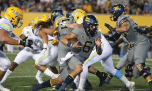 WVU Gold-Blue