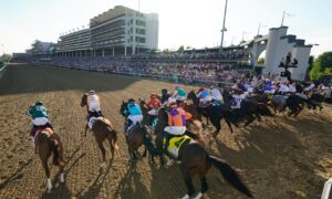 The field of 19 horses and riders bolt out of the starting gate