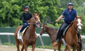 2022 Belmont Stakes horse racing odds released