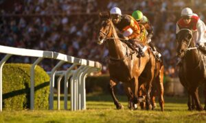A look at the horses racing in the 2022 Charles Town Classic