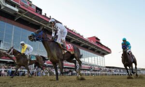 West Virginia horse bettors gamble on 2022 Charles Town Classic