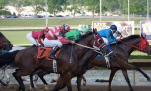 An analysis of the West Virginia Derby field at Mountaineer Park