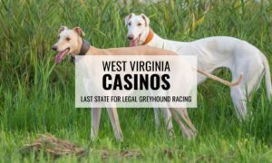 West Virginia Casinos Last Option For Greyhound Racing