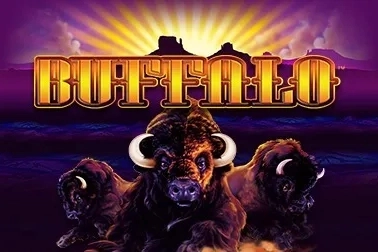 Buffalo logo